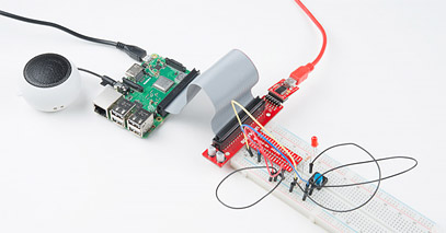 Python Programming Tutorial: Getting Started with the Raspberry Pi